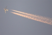 IIP Online Student Photography